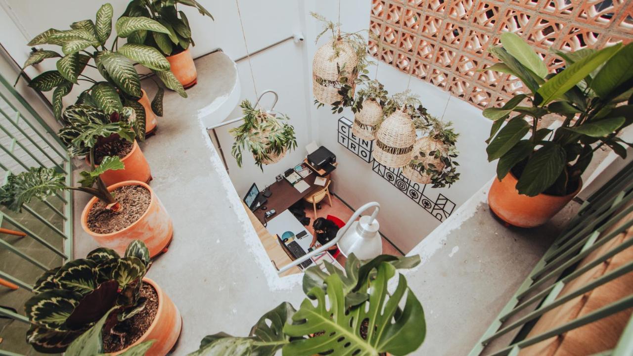 Centro Hostel เมเดยิน ภายนอก รูปภาพ